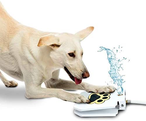 automatic outdoor dog water fountain 1