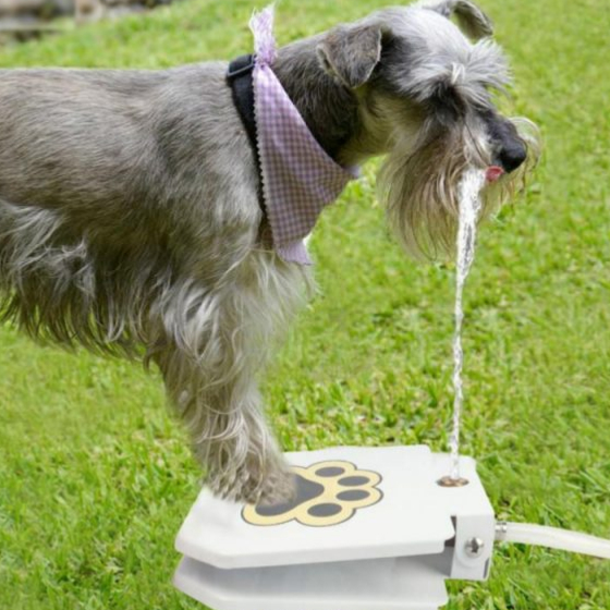 automatic outdoor dog water fountain 10