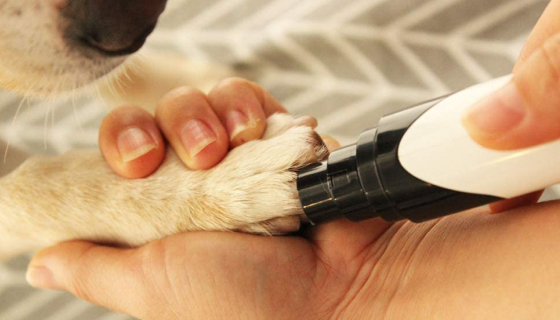 rechargeable professional dog nail grinder 7
