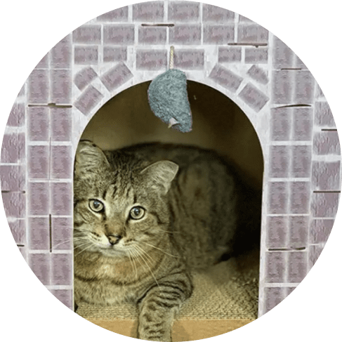 mas;;;k group-min castle cat scratcher house 7