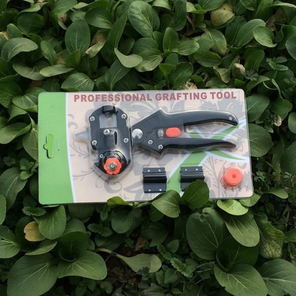 Professional Grafting Tool - Image 6