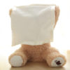 Peek-a-Boo Bear Toy - Image 5