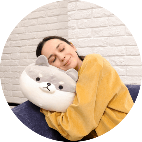 4-min corgi plush pillow 9