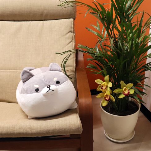 1 corgi plush pillow 6