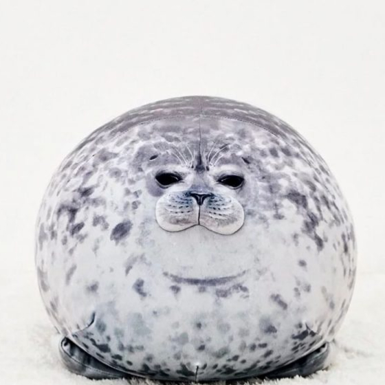5574-a3e7d966aff89de6409a74b81731e35d-640x640 (4) squishy seal plush toy 9