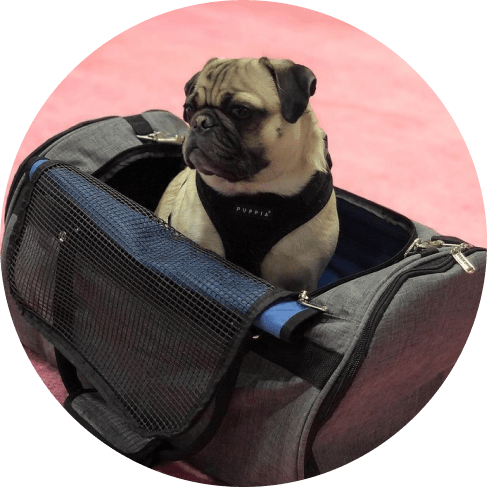 masввдвавk group-min hideaway duffel - heather gray 4