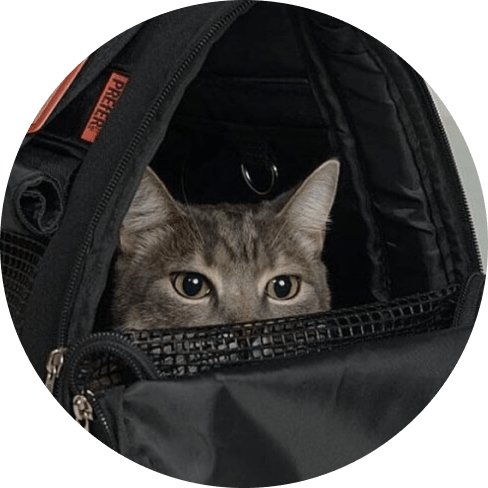 mask grpllloup-min prefer pets carrier hideaway backpack - black 10