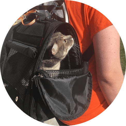 mask grooiup-min prefer pets carrier hideaway backpack - black 9