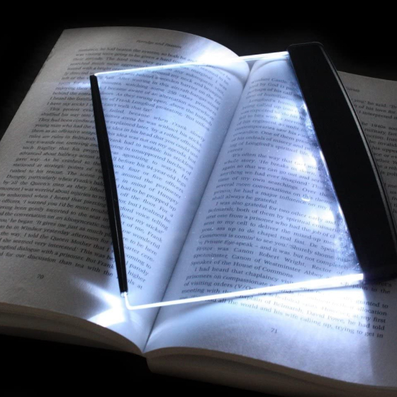 2 led book reader light 15