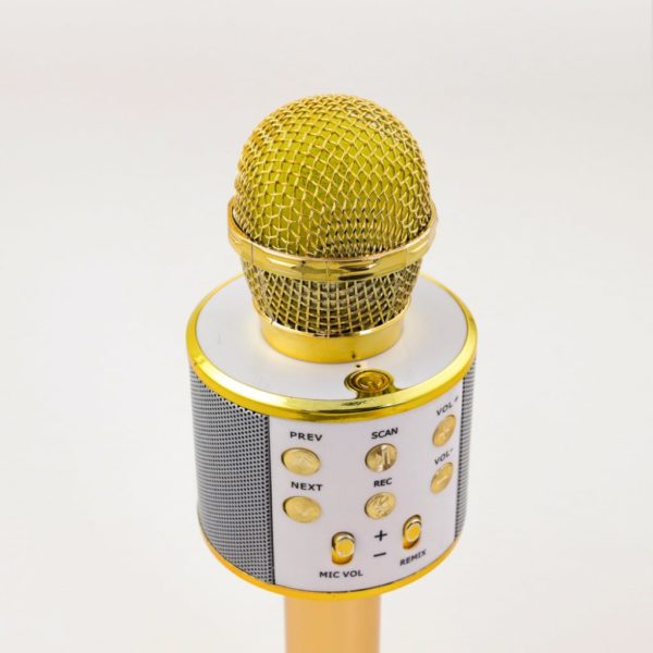 wireless karaoke microphone 4
