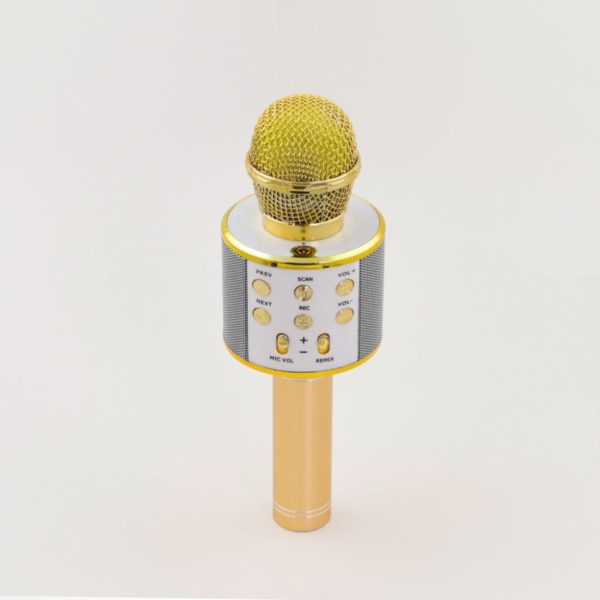 wireless karaoke microphone with speaker 2