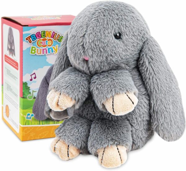 Talking Bunny Rabbit